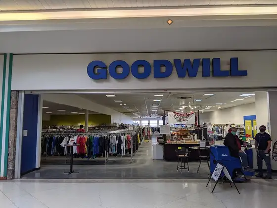 Goodwill