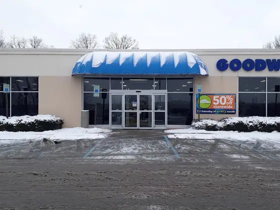 Goodwill