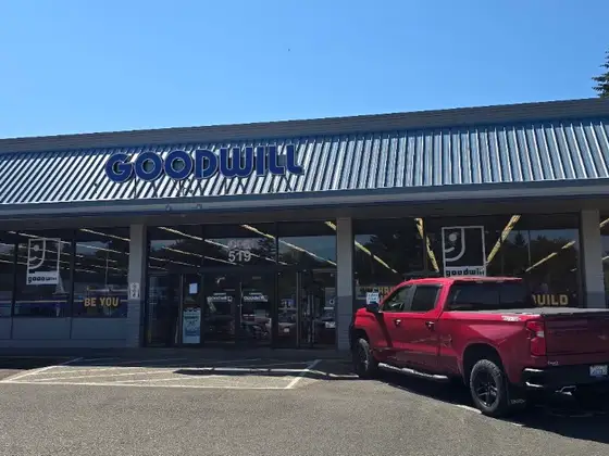 Goodwill