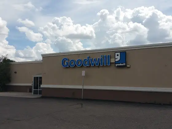 Goodwill