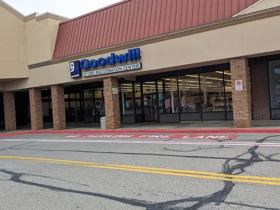 Goodwill