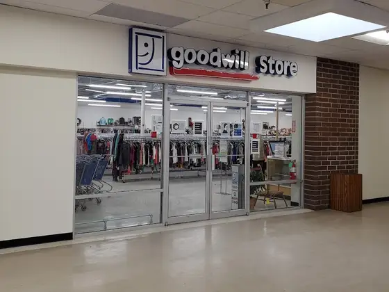 Goodwill