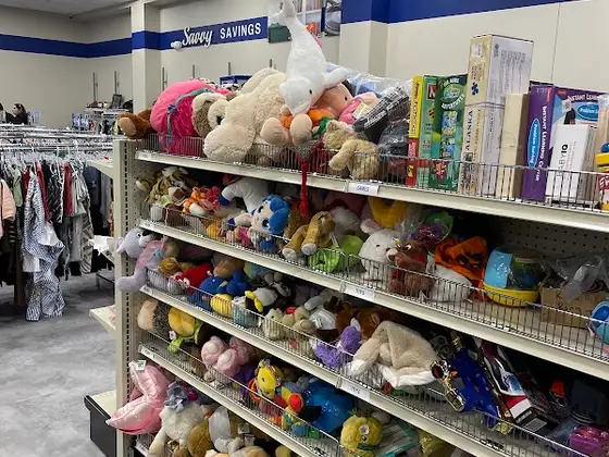 Goodwill