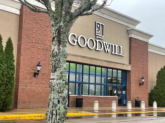 Goodwill
