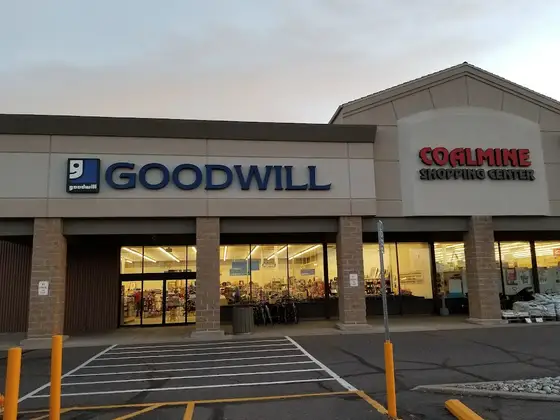 Goodwill