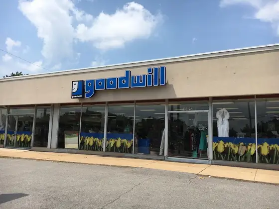 Goodwill