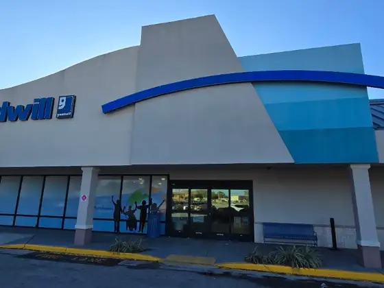 Goodwill