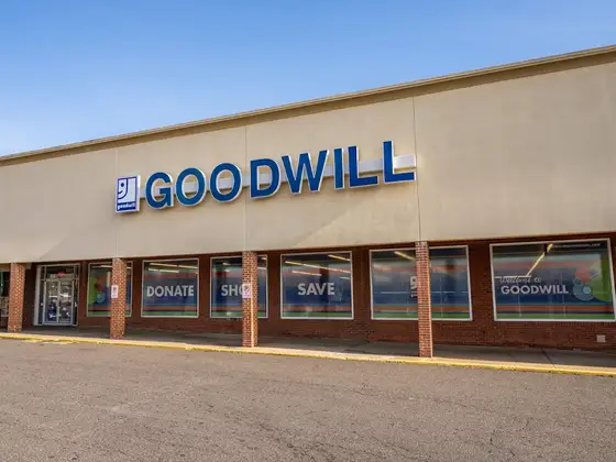 Goodwill