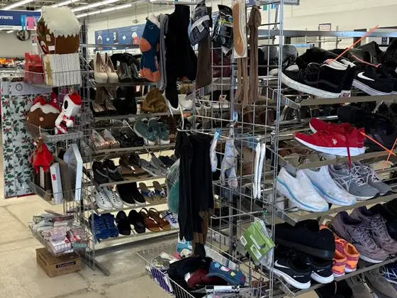 Goodwill