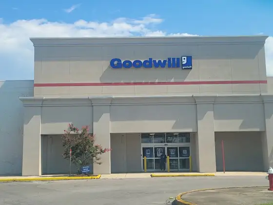 Goodwill