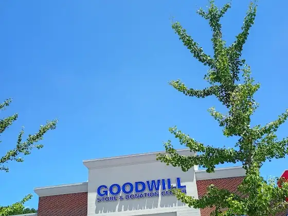 Goodwill
