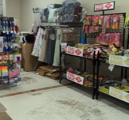 Goodwill