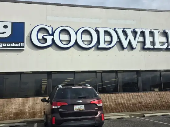 Goodwill