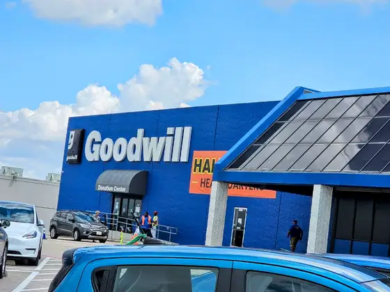 Goodwill