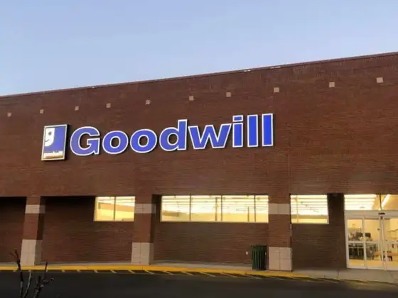 Goodwill