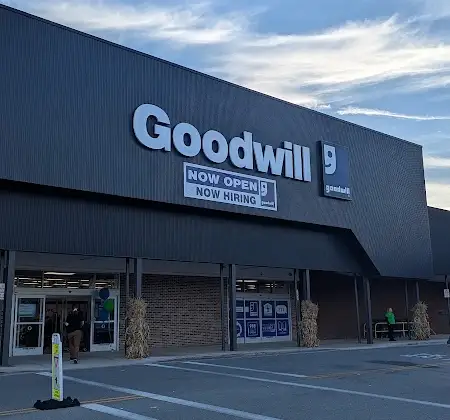 Goodwill