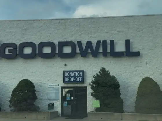 Goodwill