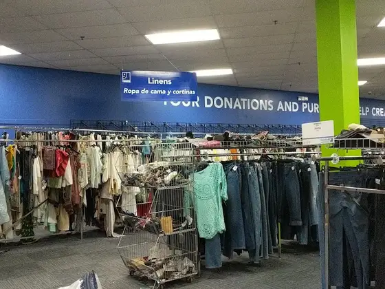 Goodwill