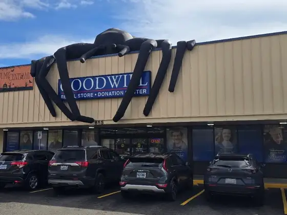 Goodwill
