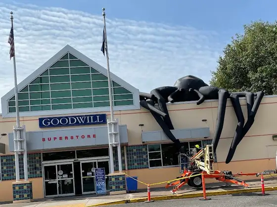 Goodwill
