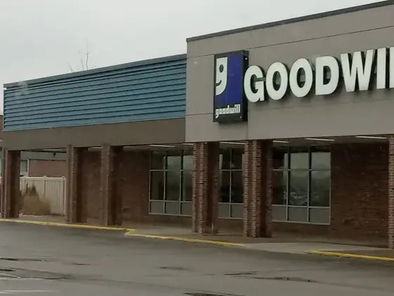 Goodwill