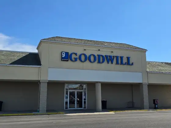 Goodwill