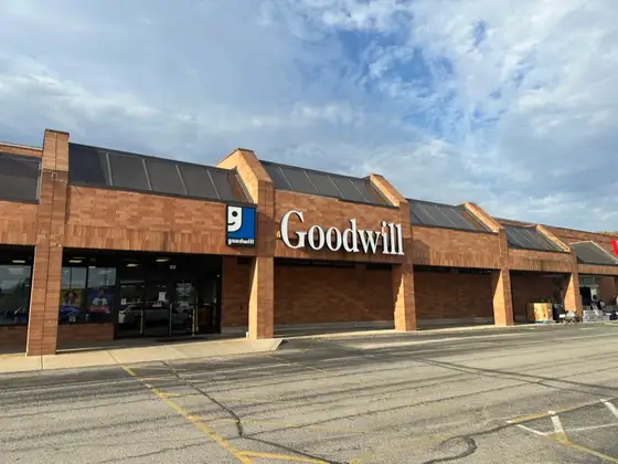 Goodwill