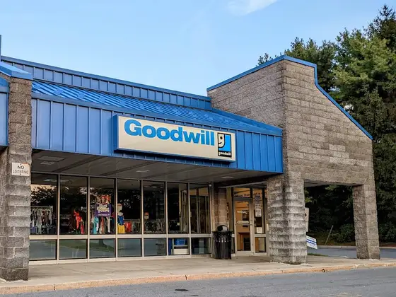 Goodwill