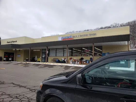 Goodwill