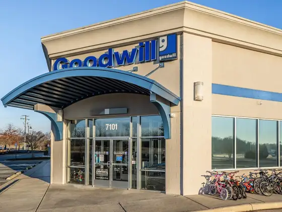 Goodwill