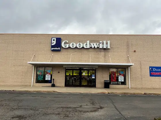 Goodwill