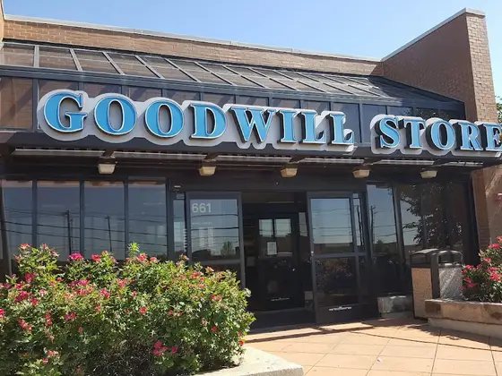 Goodwill