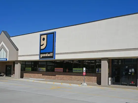Goodwill