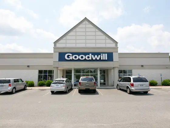 Goodwill