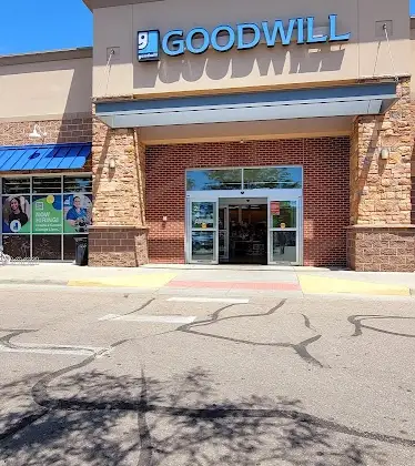 Goodwill