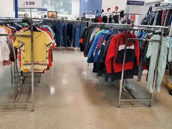 Goodwill