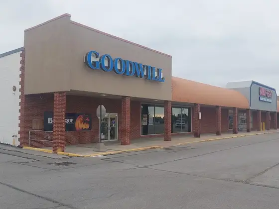 Goodwill