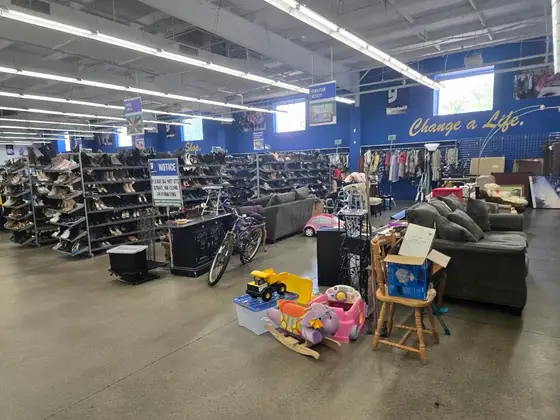 Goodwill