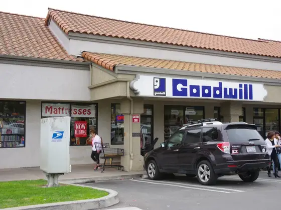 Goodwill
