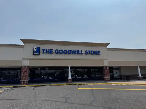 Goodwill