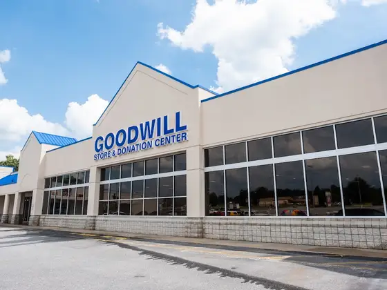 Goodwill