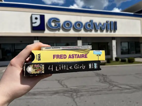 Goodwill