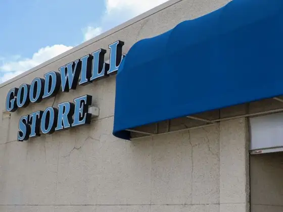 Goodwill