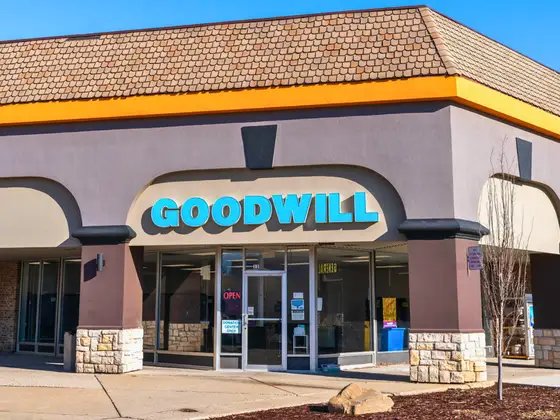 Goodwill