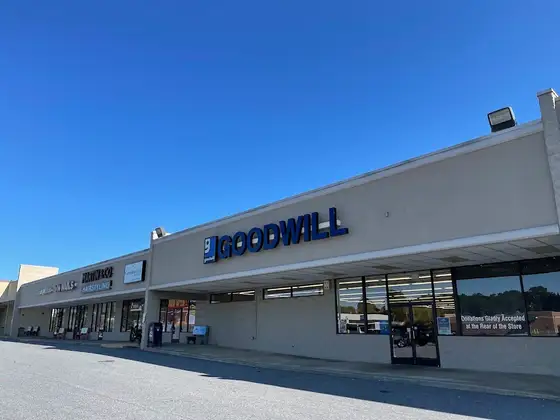 Goodwill