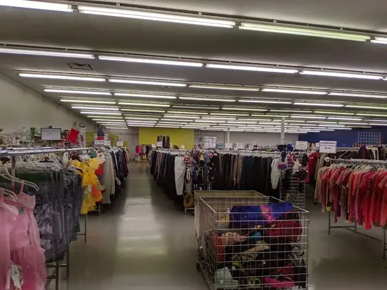 Goodwill