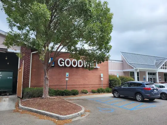 Goodwill