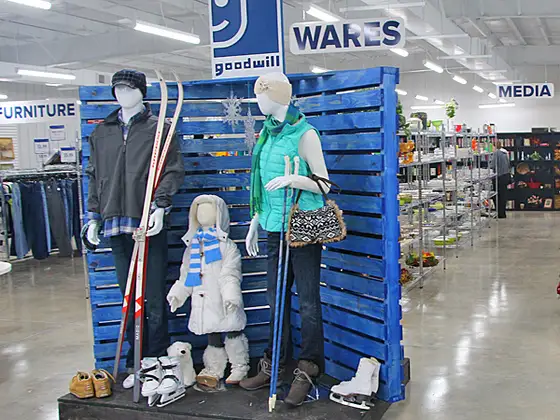 Goodwill