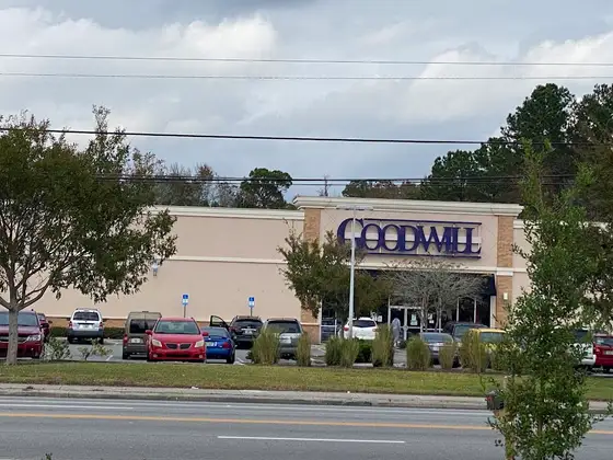 Goodwill