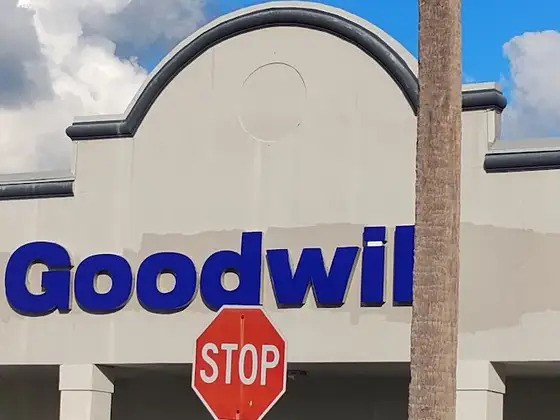 Goodwill